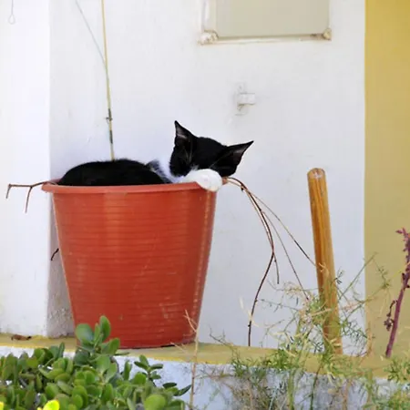 Charming 4 Bedrooms View Private Pool فيلة *