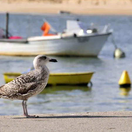 Charming 4 Bedrooms View Private Pool