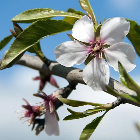 Charming 4 Bedrooms View Private Pool *