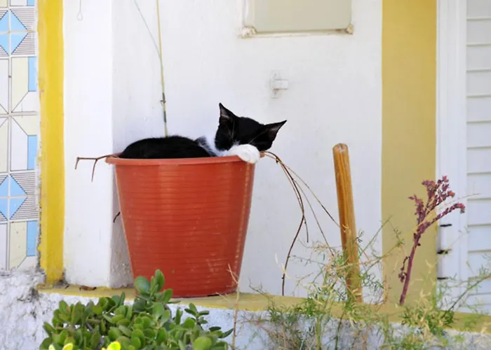 Charming 4 Bedrooms View Private Pool Villa *