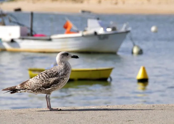 Charming 4 Bedrooms View Private Pool