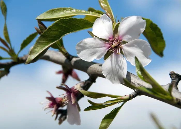 Charming 4 Bedrooms View Private Pool *